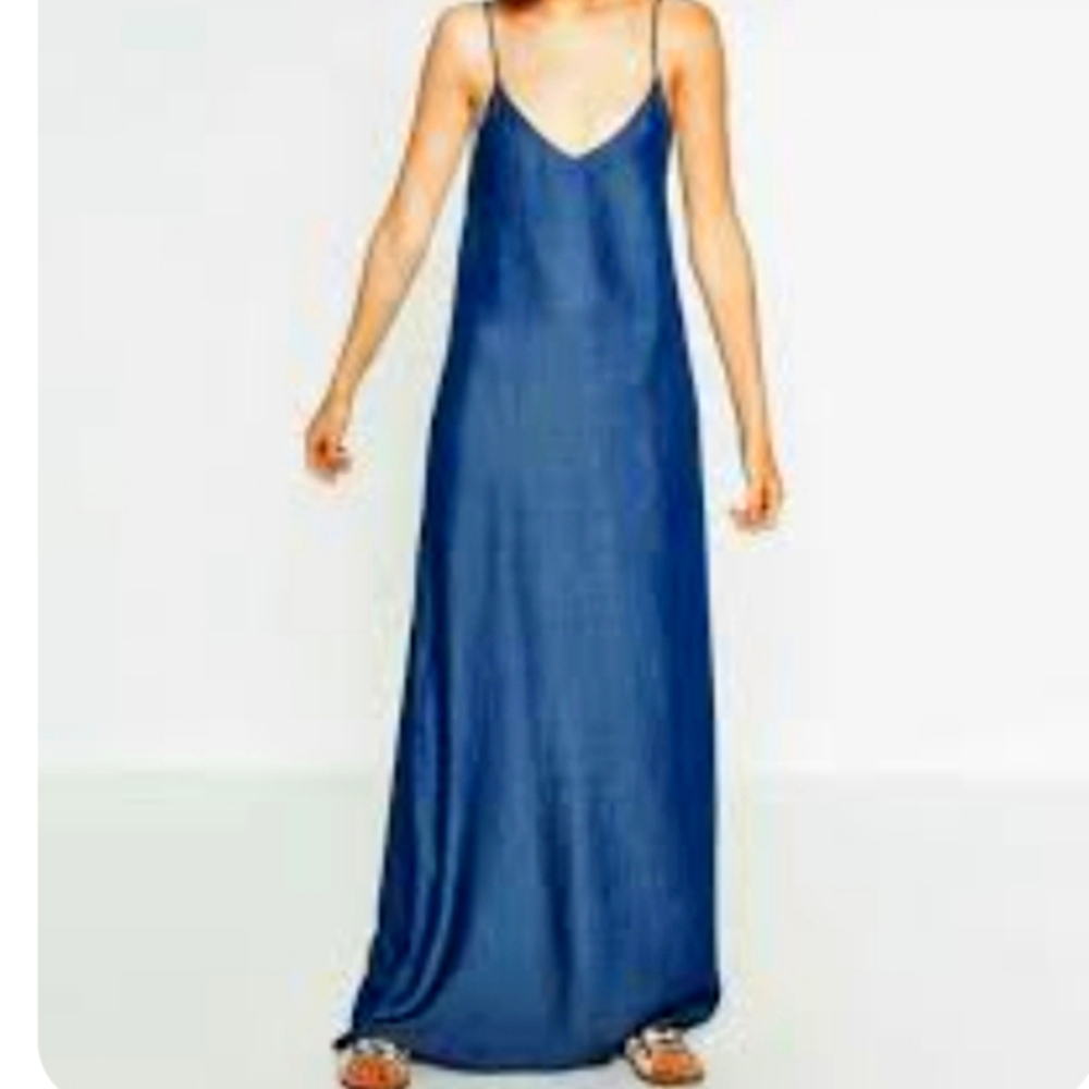 Zara Denim Maxi Dress
